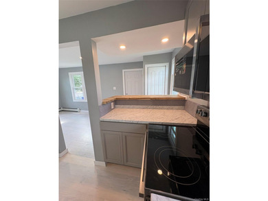 Completely newly renovated two bedroom, one bath Ranch with open - photo 14