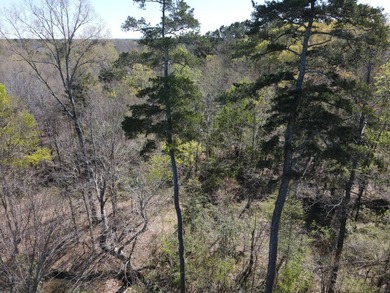 WELCOME TO THE SIMPSON 56-A PINOLA PRIVACY TRACT! This 56+/- - photo 14