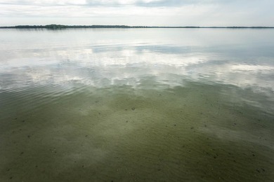 Welcome to your dream Lake Ida home, where breathtaking views - photo 17