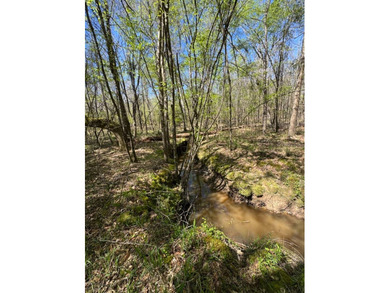 WELCOME TO THE SIMPSON 56-A PINOLA PRIVACY TRACT! This 56+/- - photo 21