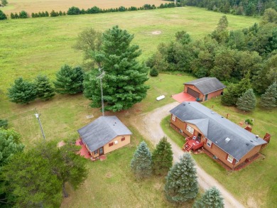 Wisconsin River - Juneau County Home For Sale in Mauston Wisconsin