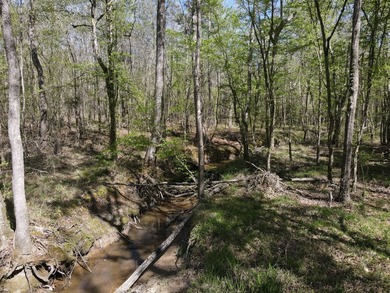 WELCOME TO THE SIMPSON 56-A PINOLA PRIVACY TRACT! This 56+/- - photo 22
