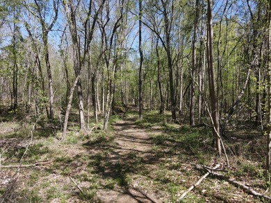 WELCOME TO THE SIMPSON 56-A PINOLA PRIVACY TRACT! This 56+/- - photo 24