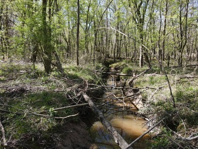 WELCOME TO THE SIMPSON 56-A PINOLA PRIVACY TRACT! This 56+/- - photo 25