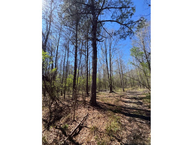 WELCOME TO THE SIMPSON 56-A PINOLA PRIVACY TRACT! This 56+/- - photo 26