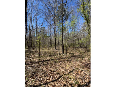 WELCOME TO THE SIMPSON 56-A PINOLA PRIVACY TRACT! This 56+/- - photo 27