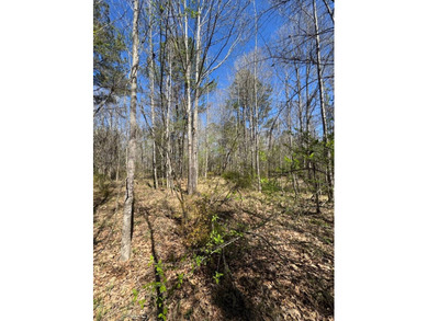 WELCOME TO THE SIMPSON 56-A PINOLA PRIVACY TRACT! This 56+/- - photo 28