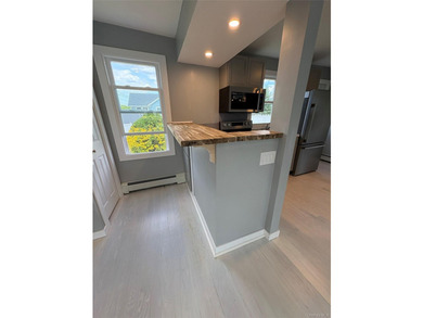 Completely newly renovated two bedroom, one bath Ranch with open - photo 33