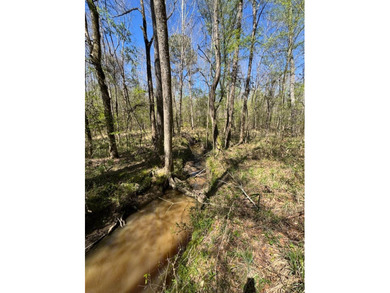 WELCOME TO THE SIMPSON 56-A PINOLA PRIVACY TRACT! This 56+/- - photo 34