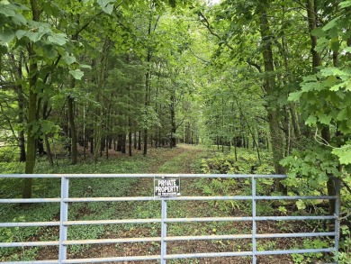 Lake Acreage For Sale in Burns, Michigan