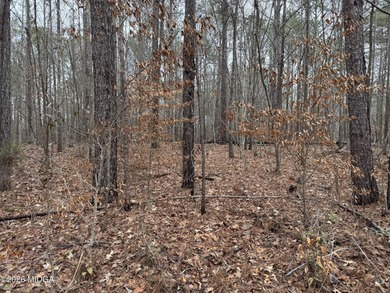 Lake Sinclair Lot For Sale in Eatonton Georgia