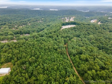 Ready to make the jump in buying land at the Lake of the Ozarks - photo 2