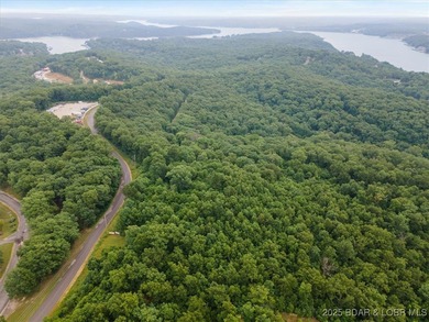 Ready to make the jump in buying land at the Lake of the Ozarks - photo 3