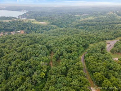 Ready to make the jump in buying land at the Lake of the Ozarks - photo 4