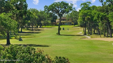 Enjoy Florida living in this first-floor, two-bedroom condo - photo 30