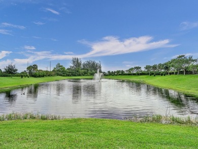 BREATHTAKING 55+ 3/2/2 VILLA IN *THE FALLS OF PARKLAND*. START - photo 41