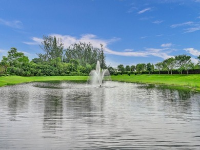 BREATHTAKING 55+ 3/2/2 VILLA IN *THE FALLS OF PARKLAND*. START - photo 42