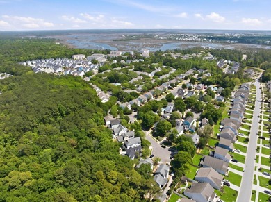 Welcome to the perfect blend of timeless Charleston charm - photo 43