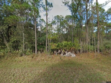 Lake Lot For Sale in Indian Lake Estates, Florida