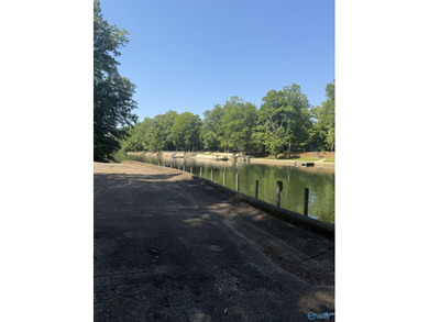 Build your dream home on this stunning 2.9-acre cleared lot - photo 11
