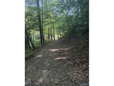 Build your dream home on this stunning 2.9-acre cleared lot - photo 13