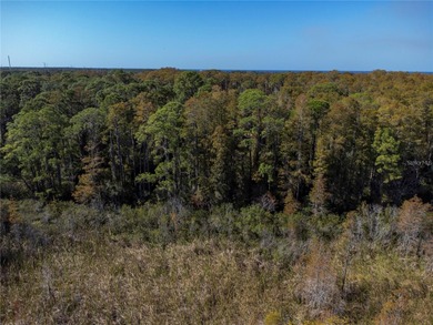 Rare opportunity to acquire approximately 35.6 acres across - photo 5