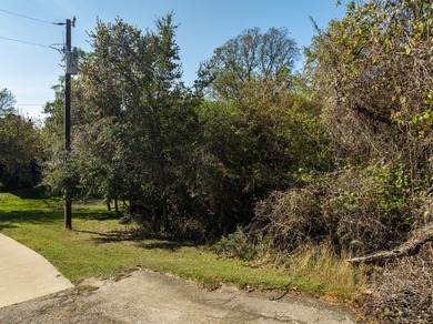 Build your dream home or weekend getaway atop this 0.31 acre lot - photo 3