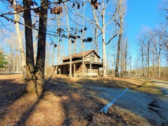 Log Cabin Project with GREAT Potential Near Lake! SOLD - Lake Home SOLD! in Falls Of Rough, Kentucky