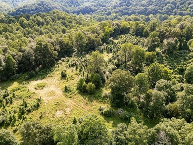 Looking for acreage with loads of potential? You do not want to - photo 2