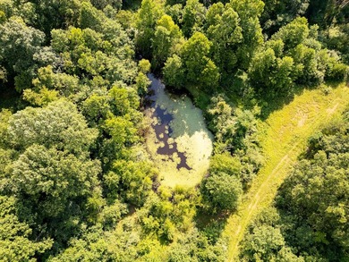 Looking for acreage with loads of potential? You do not want to - photo 3