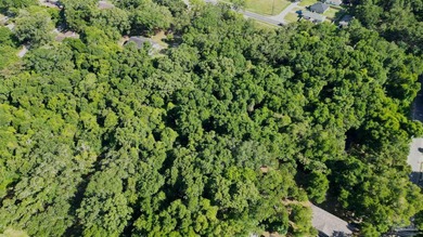 Two parcels, totaling 3.63 acres, with 371.3 feet of access off - photo 4