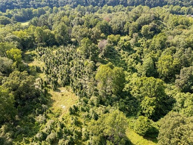 Looking for acreage with loads of potential? You do not want to - photo 7