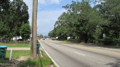 Narrow (20' wide) Pass Rd driveway leading back to approximately - photo 4