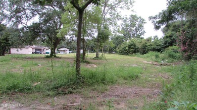 Narrow (20' wide) Pass Rd driveway leading back to approximately - photo 8