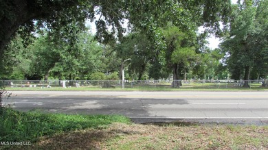Narrow (20' wide) Pass Rd driveway leading back to approximately - photo 10