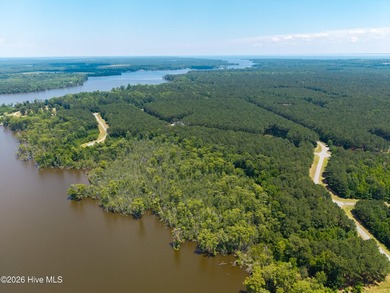 Welcome to your future home. This beautiful quiet waterside - photo 4