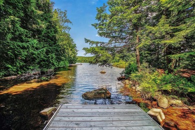 Residence contemporaine au bord de l'eau sur le lac Cupidon! Ce - photo 21