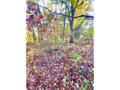 Lake of the Ozarks Lot For Sale in Barnett Missouri