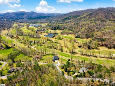 Fantastic opportunity to own one of the premier lots in Cliffs - photo 25