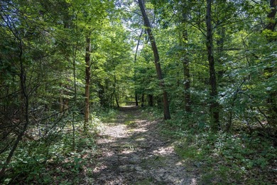 Escape to your own private Northwoods retreat! This 10.2-acre - photo 36