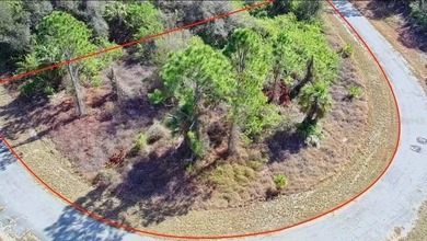 Northport Waterway Lakes and Canals Lot For Sale in North Port Florida