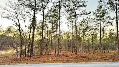 Bonable Lake Lot For Sale in Dunnellon Florida