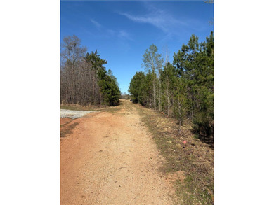 Check out this lot at a great price in a LAKE COMMUNITY of Lake - photo 3