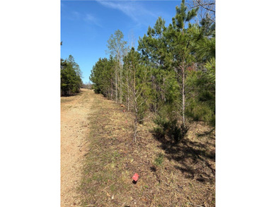Check out this lot at a great price in a LAKE COMMUNITY of Lake - photo 4