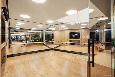 Rare High-Floor Residence Above Tribeca Perched nearly 500 feet - photo 19