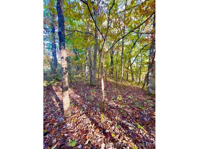 Lake of the Ozarks Lot For Sale in Barnett Missouri