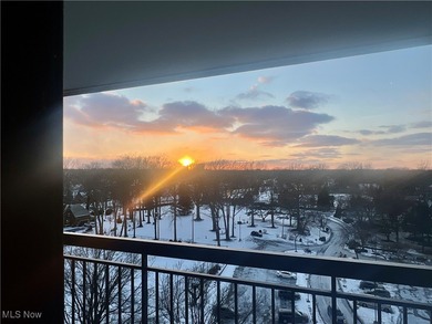 Lake Erie - Cuyahoga County Condo For Sale in Lakewood Ohio