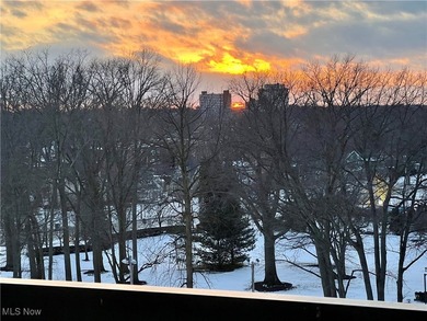 The Meridian, located on the south shore of Lake Erie, offers - photo 5