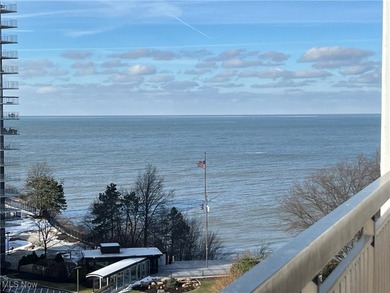 The Meridian, located on the south shore of Lake Erie, offers - photo 6