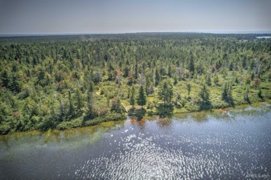 Lake Acreage For Sale in Lake Linden, Michigan